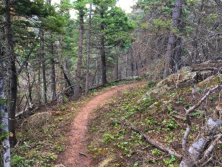 on the trail on the trail
