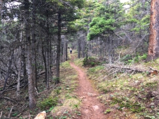 on the trail on the trail