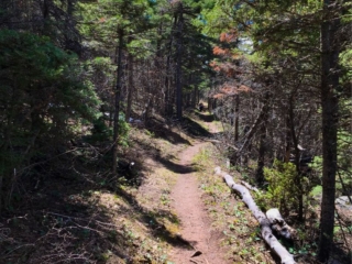 on the trail on the trail