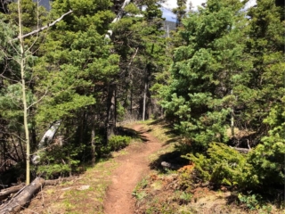 on the trail on the trail