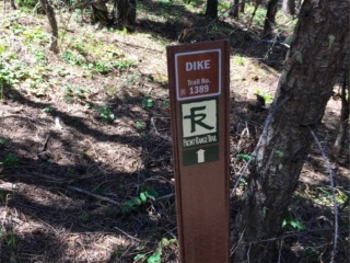 Dike or Dikes? Dike or Dikes?