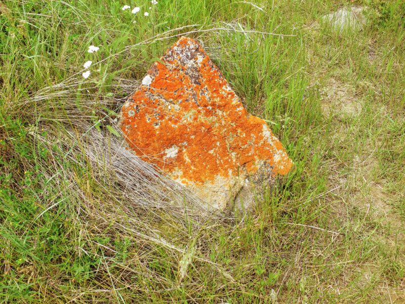 red rock red rock