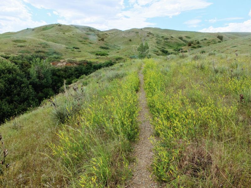 on the trail on the trail