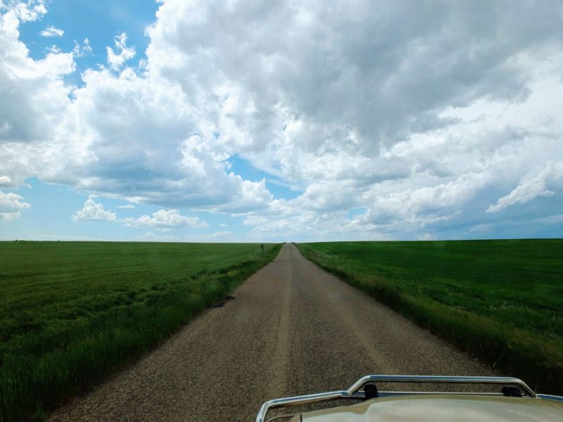 Road in the fields Road in the fields