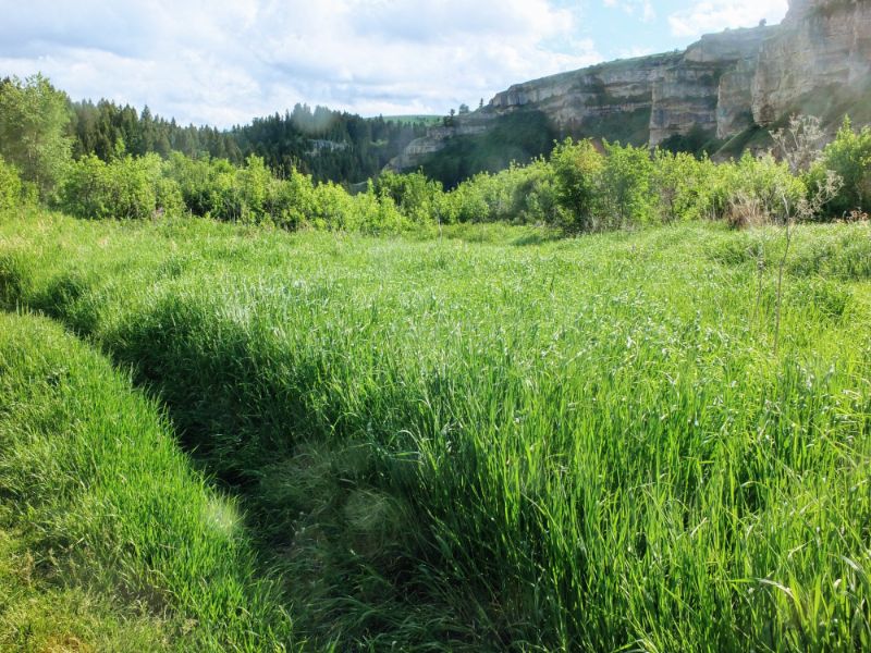 on the trail on the trail