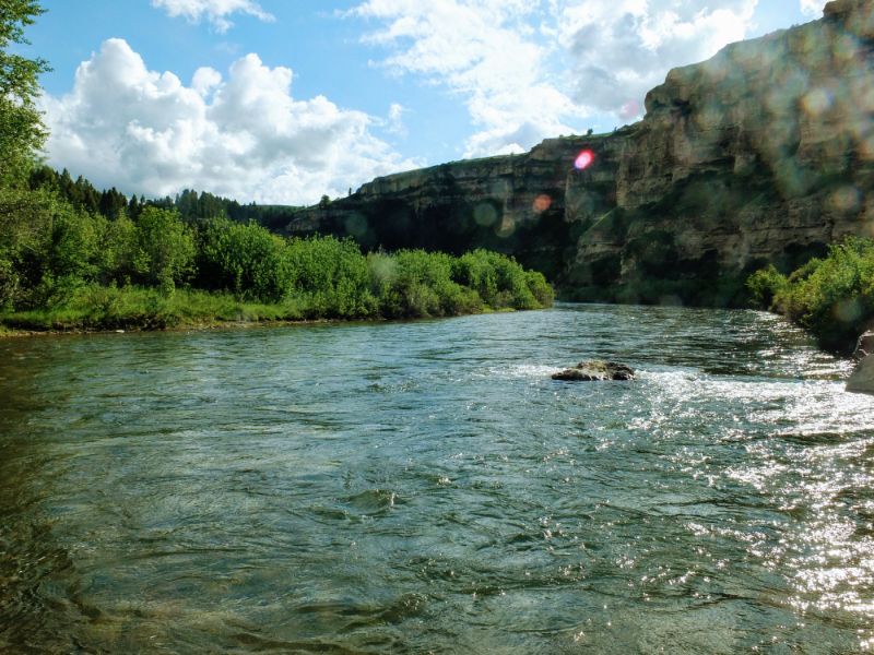 downstream downstream