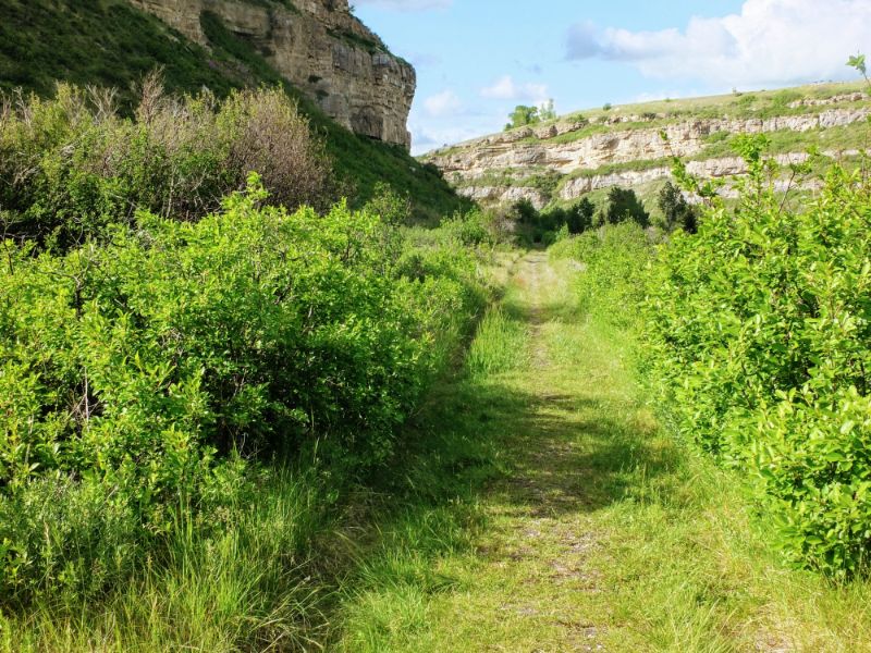pathway into the gorge
