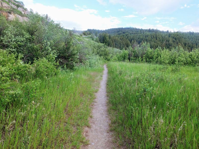 on the trail on the trail