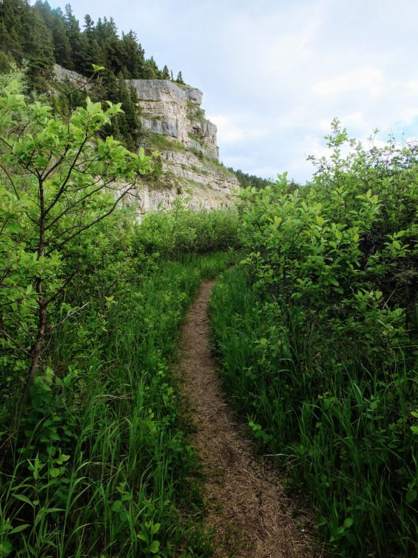 on the trail on the trail