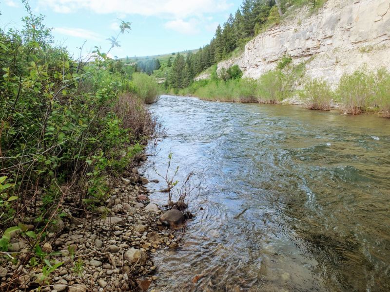 streamside streamside