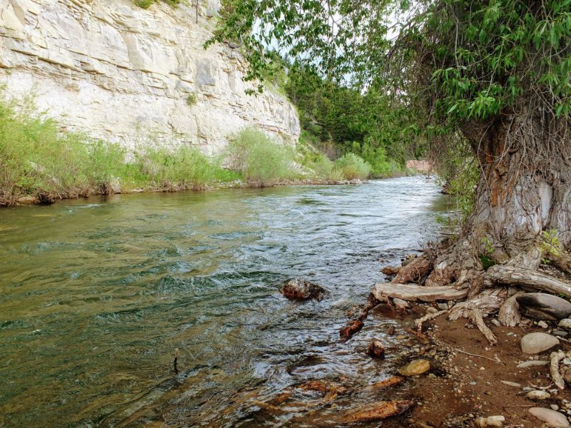 streamside streamside
