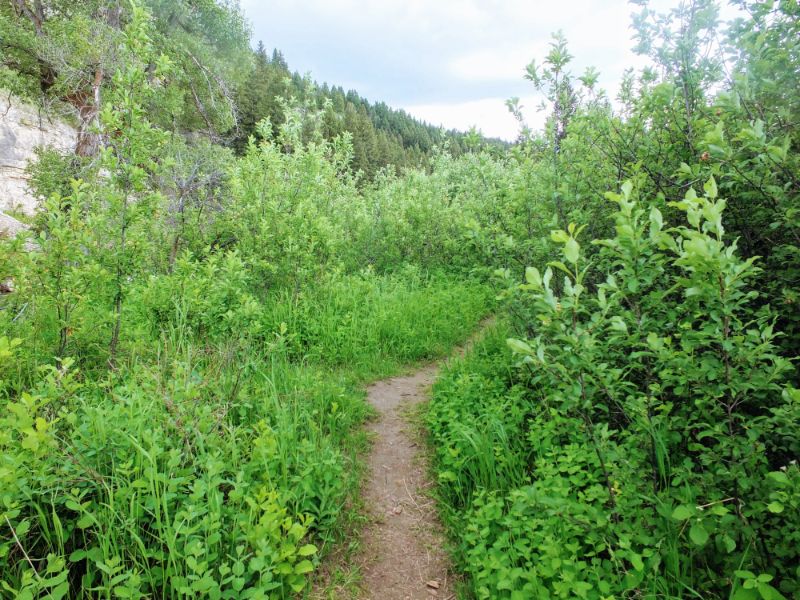 on the trail on the trail