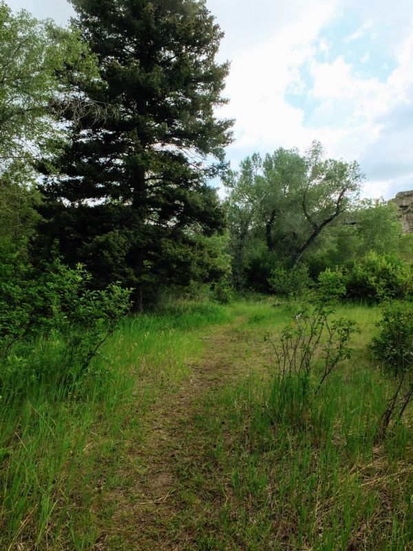 pathway pathway
