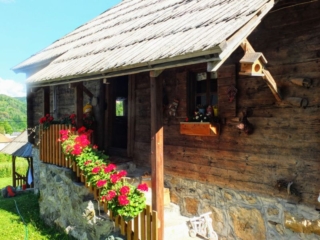 old house old house