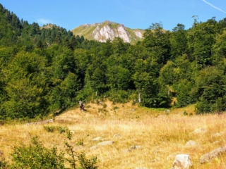 Crna Glava above Crna Glava above