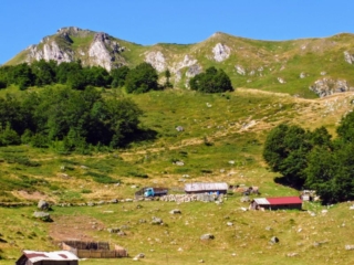 Katun Kolijevka Katun Kolijevka