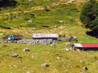 Katun Kolijevka Katun Kolijevka