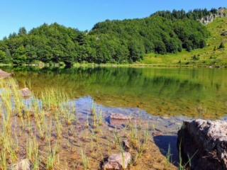Lake Pešića Lake Pešića