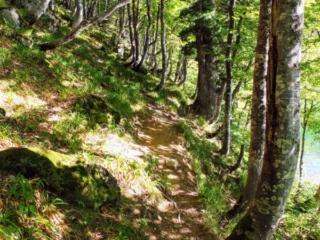 lakeside trail lakeside trail