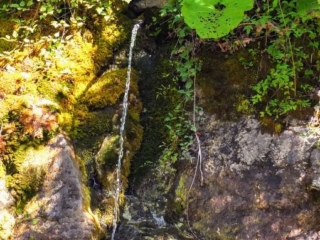 Mountain Spring Mountain Spring