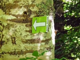 trail marker trail marker