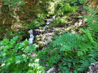 mountain stream mountain stream