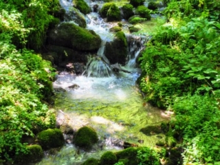 mountain stream mountain stream