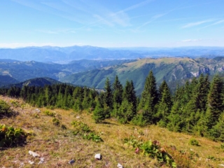 summit view summit view