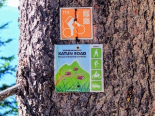trail markers trail markers