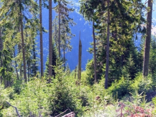 hillside hillside