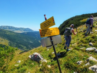 trail sign trail sign