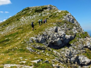 on the ridge on the ridge