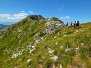 on the ridge on the ridge