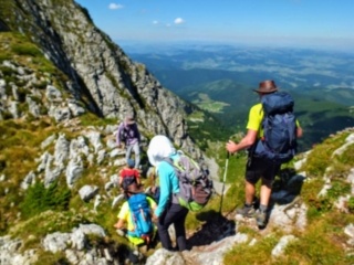 on the ridge on the ridge