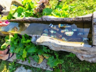 spring-chilled beer spring-chilled beer