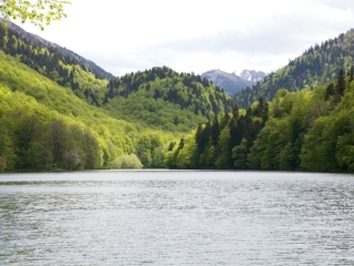 Biogradska Jezero Biogradska Jezero