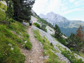 on the trail on the trail