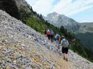 across the scree across the scree