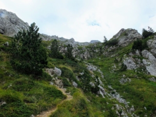DSCF3835