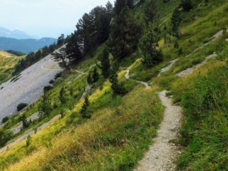 mountain trail mountain trail