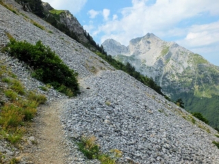 scree field scree field