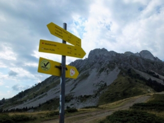 trail markers trail markers