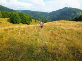 crossing a meadow crossing a meadow