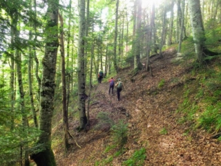 on the trail on the trail