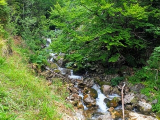 Ljevaja River Ljevaja River