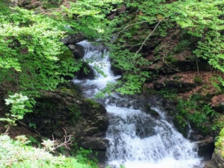 DSCF3919small falls small falls