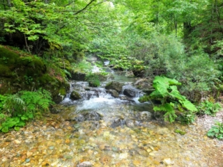 Ljevaja River Ljevaja River
