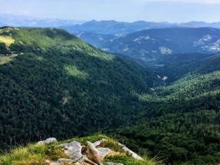 panorama panorama