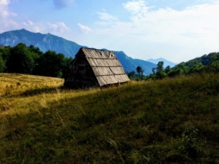mountain shed mountain shed