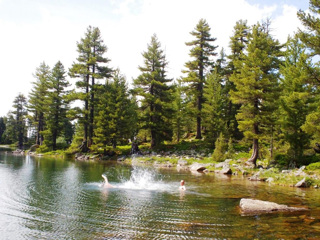 swimming with the fairies - image by Stefs swimming with the fairies - image by Stefs